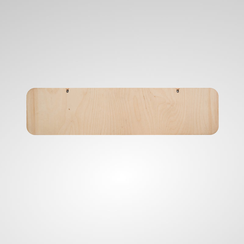 Hangboard Swap Plate